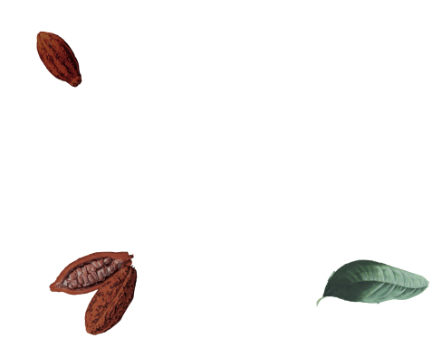 Nibs de cacao recubiertos en chocolate oscuro orgánico